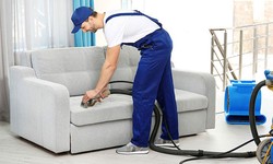 carpet cleaning east Auckland