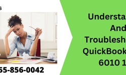 Understanding And Troubleshooting QuickBooks Error 6010 100