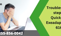Troubleshooting steps for QuickBooks Exeadapter Error 61686