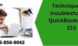 Techniques for troubleshooting QuickBooks Error 213