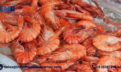 United States Shrimps Market, Size, Share, Trend, Growth 2022-2027