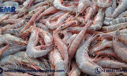 Latin America Shrimp Market Price, Demand, Growth 2022-2027