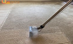 How to Do a Carpet Steam Cleaning Process Right?