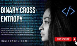 The binary cross entropy loss is applied in what way?