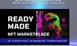 Know the Latest Trends in White Label NFT Marketplace Development to thrive your Business
