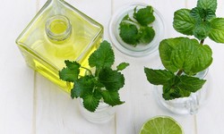 7 Uses of Spearmint Essential Oil To Improve Your Skin, Mood And More