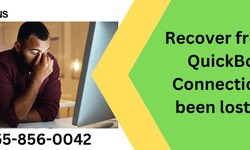 Recover from the QuickBooks Connection has been lost issue