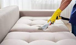 All You Need To Know About Professional Couch Cleaning Sydney