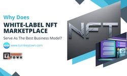 White-label NFT Marketplace- The Quicker Route To Launch A Marketplace In The NFT verse