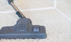 What are the Benefits of Hiring a Professional Carpet Cleaning Company For Your Home?