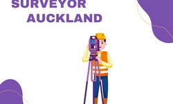 Surveyor Auckland