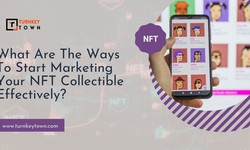 Elevating Your NFT Collection: Marketing Strategies for Digital Collectors