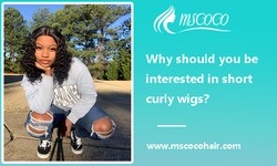 Why should you be interested in short curly wigs?