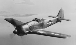 Focke-Wulf Fw-190 – Butcher Bird