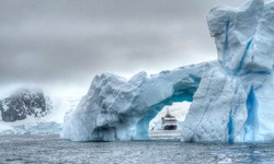 Visit Antarctica and Explore The Splendors of Nature