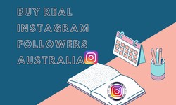 The Growing Popularity Of The Instagram Platform