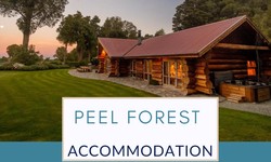 Peel Forest Accommodation