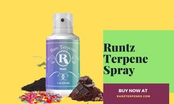 All You Wanted To Know About Runtz Terpenes