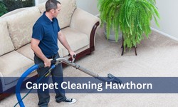 The Ultimate Carpet Cleaning Guide: Professional Services & DIY Tips To Keep Your Floors Spotless