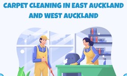 carpet cleaning east Auckland