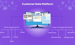 What is a Customer Data Platform? Why is it essential?
