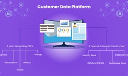 What is a Customer Data Platform? Why is it essential?