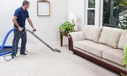 How To Keep Your Carpet Looking Great With These 5 Easy Tips