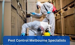 9 Good Reasons To Hire A Pest Control Melbourne Company!