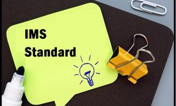 What is an IMS and How Can it Help the Company to Compliant with Other ISO Standards?
