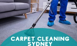 5 Reasons To Hire A Carpet Cleaning Sydney Company This Summer!