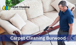 7 Simple Steps To Cleaning Your Carpet Like A Pro
