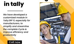 Manufacturing In Tally: The Features and Functions of Tally ERP 9