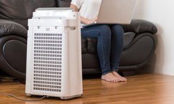 Declare War on Mold with an Air Purifier: Enjoy the Benefits