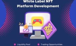 What are the benefits of using a white label NFT marketplace for my business, and how can it help me scale my operations?
