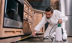 5 Pest Protection Tips To Keep Your Home Safe This Summer