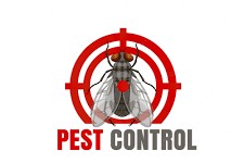 The Importance of Professional Pest Control Egham Services