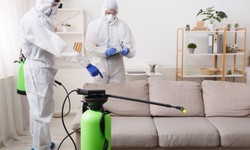 5 Advantages of Hiring a Pest Control Company