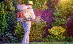 How to Choose the Right Pest Control Product.
