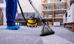 Choosing the Right Carpet Cleaning Company