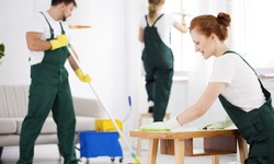 Effortless Preparation for Your Big Party with Professional House Cleaning Services
