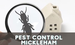 When To Contact Pest Control Mickleham Services For The Best Results?