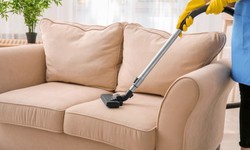 Expert Tips for Maintaining Your Couch's Appearance and Comfort
