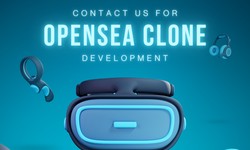 Discover the Potential of OpenSea Clone Platform Development for Your Business