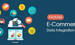 E-Commerce Data Integration Tool Features and Benefits