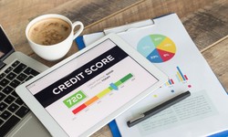 Why Should You Add Authorized User Tradelines to Your Credit Reports?