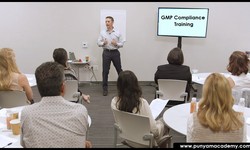 How to Organize GMP Compliance Training for the Entire Workforce?