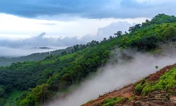 Best Hill Stations in South India you Must Visit