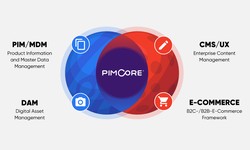 Pimcore Development: Transform Your Digital Journey