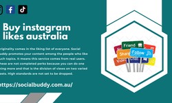 The Impact of Social Buddy Australia on Building Community Connections