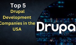 Top 5 Drupal Development Companies in the USA